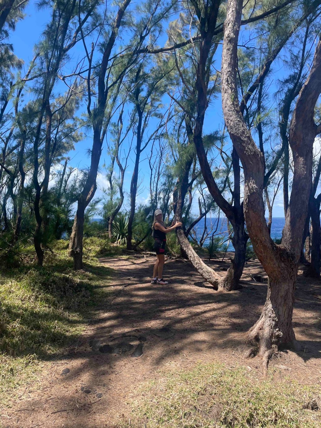 Grün – Schwarz –&nbsp;Blau