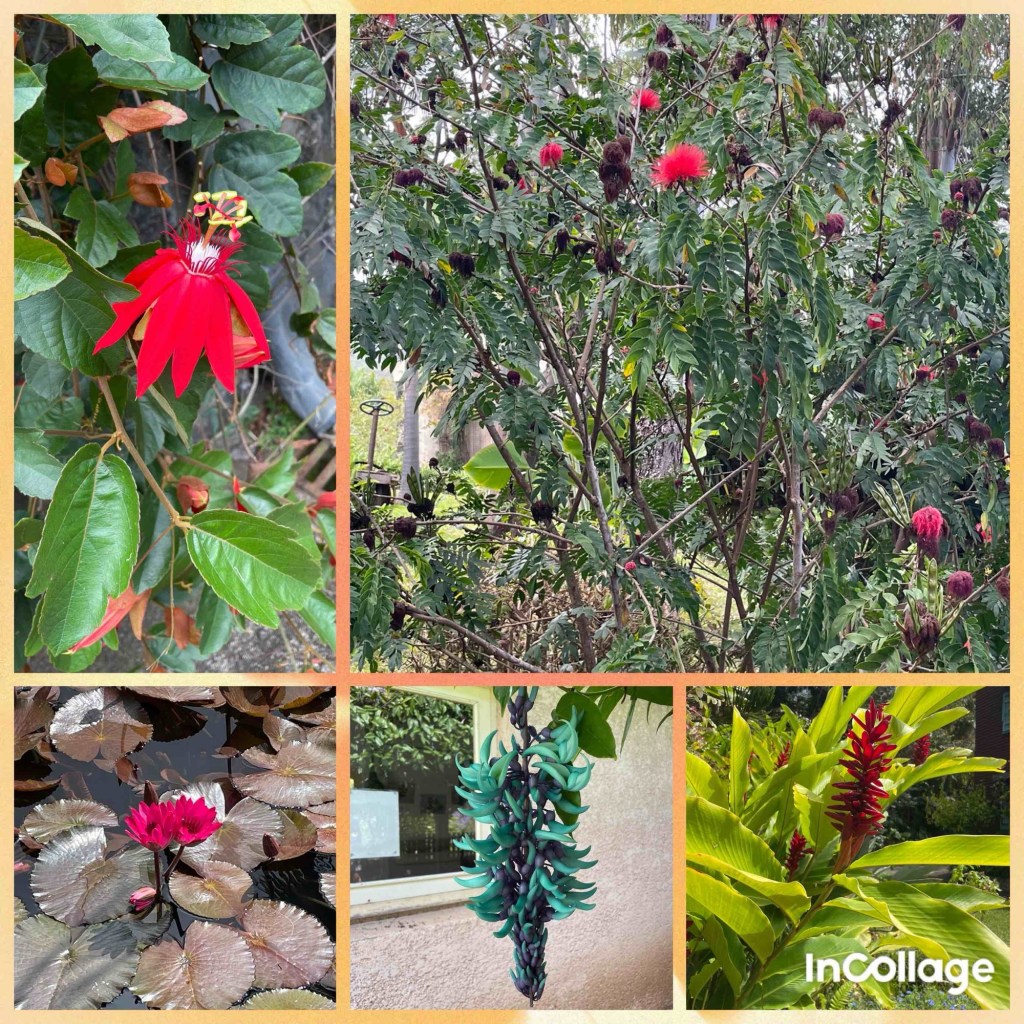 Mal ohne Rucksack durchs&nbsp;Paradies