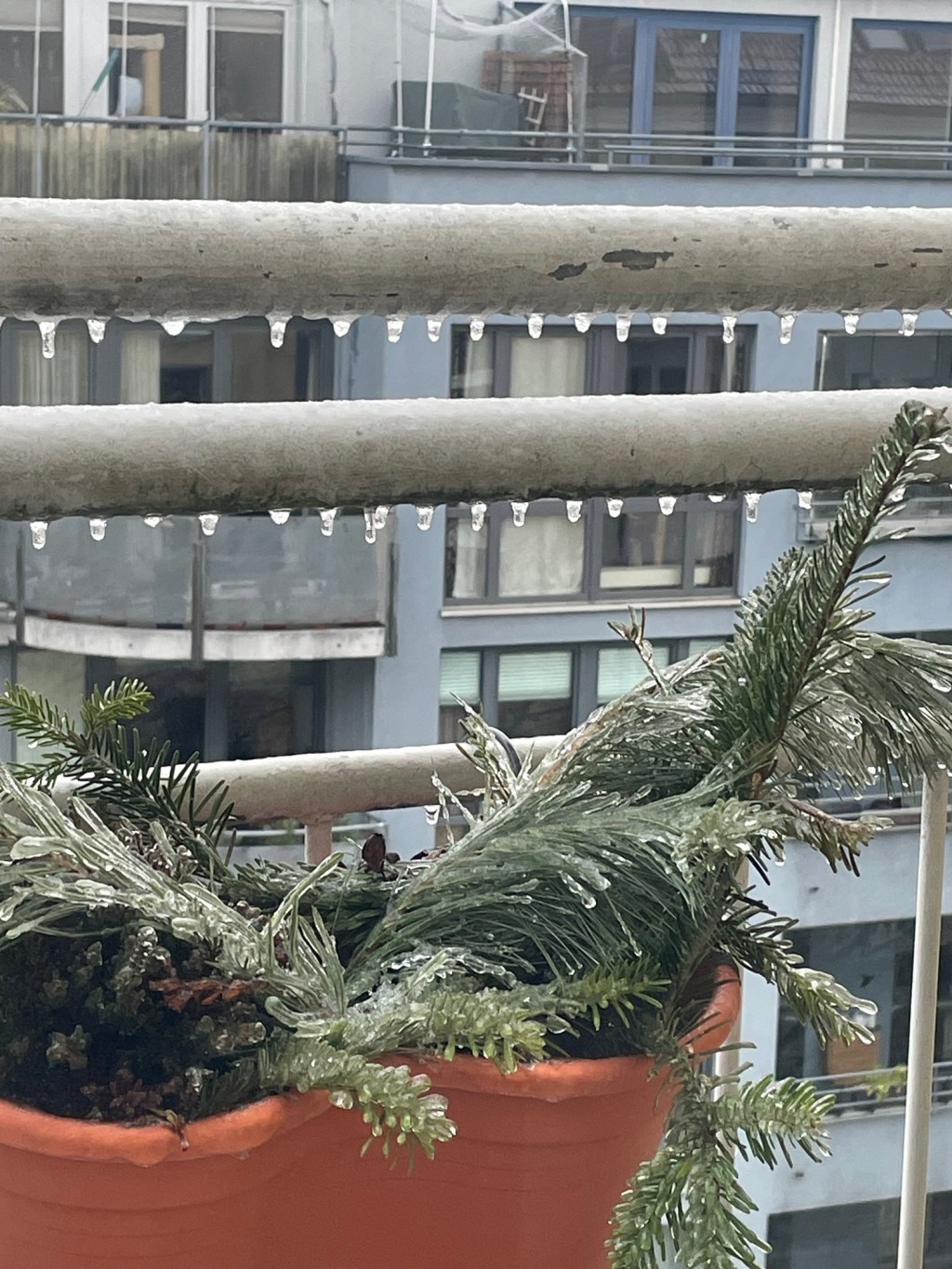 Von Berliner Eischaos zu Lapplands -25 Grad: Winterflucht ins&nbsp;Nordlicht