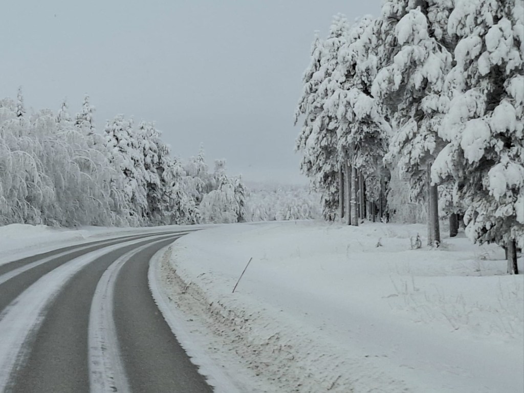 Willkommen in der Tiefkühltruhe: Levi, wir sind&nbsp;da