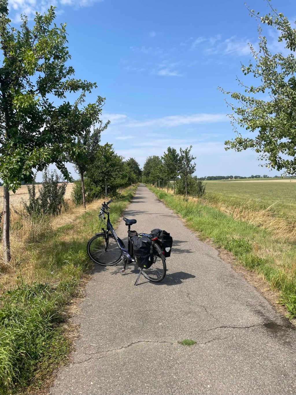 Was vom Sommer übrig blieb – Teil 1